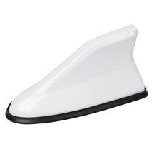 Antena Tubarão Esportiva Universal para Carro - SharkSport
